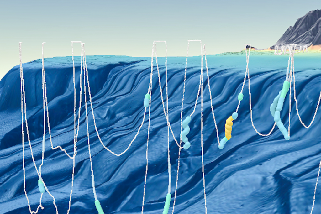A 3D map shows the point at which elephant seals begin spiraling during REM sleep.